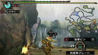 Monster Hunter Portable 3rd brasse le chaud et le froid Monster Hunter Portable 3rd brasse le chaud et le froid