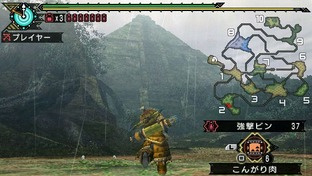 Monster Hunter Portable 3rd brasse le chaud et le froid Monster Hunter Portable 3rd brasse le chaud et le froid