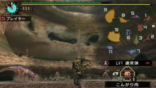 Monster Hunter Portable 3rd brasse le chaud et le froid Monster Hunter Portable 3rd brasse le chaud et le froid