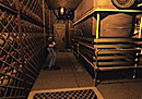 Resident Evil : Director's Cut PS1 - Screenshot 71