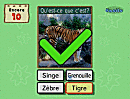 [Pando Pro][WII] Cerebrale Academie