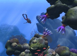 Images de Dive : The Medes Islands Secret Images de Dive : The Medes Islands Secret