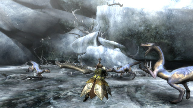 Encore un Drome ! Monster-hunter-3-wii-189