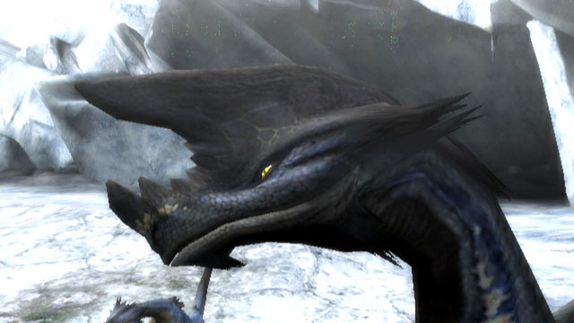 Encore un Drome ! Monster-hunter-3-wii-190