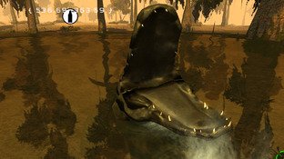 L'Amérique du Nord transformée en terrain de chasse