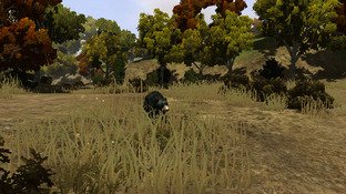 L'Amérique du Nord transformée en terrain de chasse