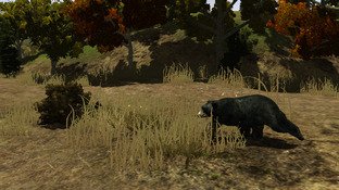 L'Amérique du Nord transformée en terrain de chasse