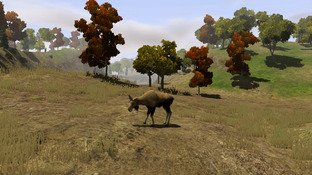 L'Amérique du Nord transformée en terrain de chasse