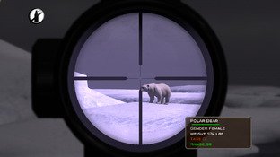 L'Amérique du Nord transformée en terrain de chasse