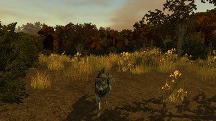 L'Amérique du Nord transformée en terrain de chasse