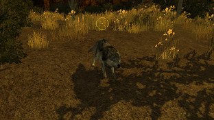 L'Amérique du Nord transformée en terrain de chasse