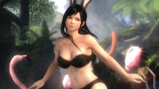 Dead or Alive 5 : DLC bikinis ou à poils Dead or Alive 5 : DLC bikinis ou à poils