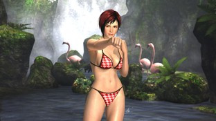 Dead or Alive 5 : DLC bikinis ou à poils Dead or Alive 5 : DLC bikinis ou à poils