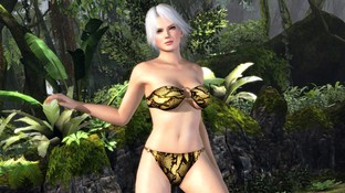 Dead or Alive 5 : DLC bikinis ou à poils Dead or Alive 5 : DLC bikinis ou à poils