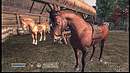 test The Elder Scrolls 4 : Oblivion Xbox 360
