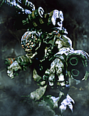 gow2x3042.gif