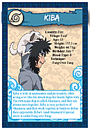 Images Naruto : The Broken Bond Xbox 360