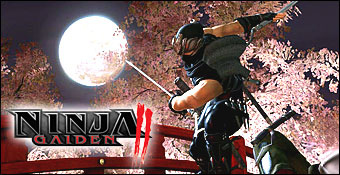 Ninja Gaiden II