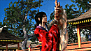 [FS]   Virtua Fighter 5  [ XBOX360 ]