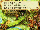 Premiers screens pour Secret Of Mana DS