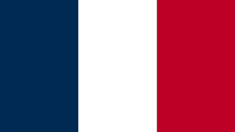 Le jeu vidéo en France en 2014