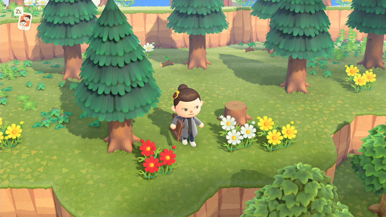 Animal Crossing New Horizons, les fleurs : variétés, prix, comment en prendre soin… tout ce qu'il faut savoir Animal Crossing New Horizons, les fleurs : variétés, prix, comment en prendre soin… tout ce qu'il faut savoir