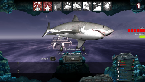 jeux de requin
