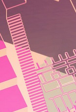 Manifold Garden