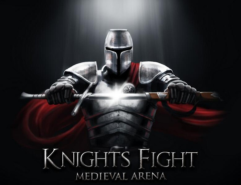 Knights Fight: Medieval Arena