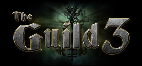 The Guild 3 sur PC