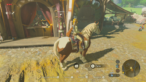Comment attraper un cheval sauvage ?