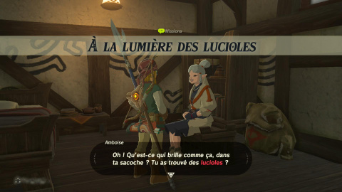 A la lumière des lucioles
