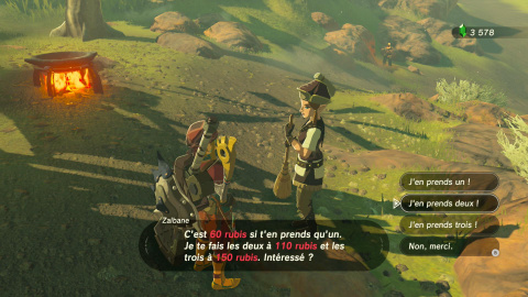 Guérir le chef Buldo
