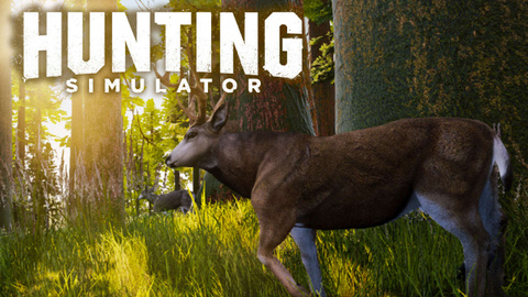 Jaquette de Hunting Simulator : un jeu sachant chasser ?