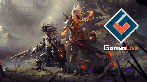 Divinity : Original Sin II - Un univers dense et enchanteur
