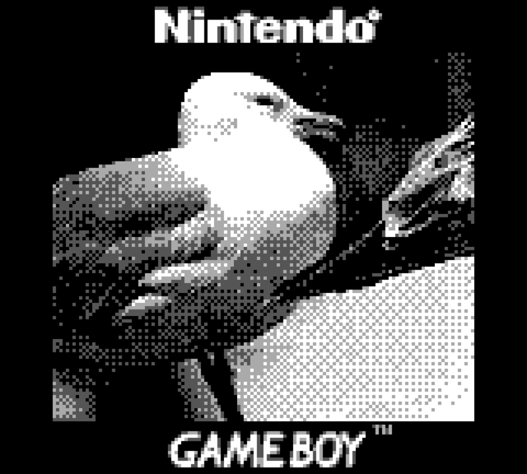 Game Boy : il modifie la Game Boy Camera et réalise des clichés de folie !