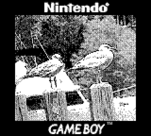 Game Boy : il modifie la Game Boy Camera et réalise des clichés de folie !