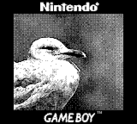 Game Boy : il modifie la Game Boy Camera et réalise des clichés de folie !