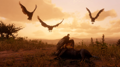 Red Dead Redemption II : Un aperçu de la vie sauvage en images 1537948138-9494-capture-d-ecran