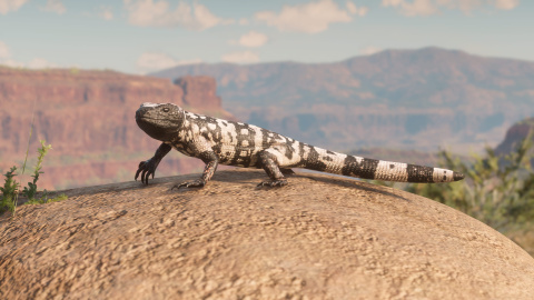 Red Dead Redemption II : Un aperçu de la vie sauvage en images 1537948140-1496-capture-d-ecran