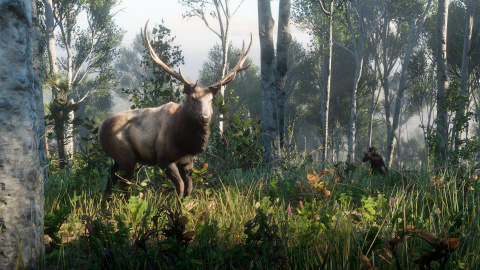 Red Dead Redemption II : Un aperçu de la vie sauvage en images 1537948141-9801-capture-d-ecran