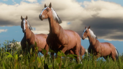 Red Dead Redemption II : Un aperçu de la vie sauvage en images 1537948178-8625-capture-d-ecran