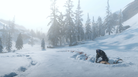 Red Dead Redemption II : Un aperçu de la vie sauvage en images 1537948181-5256-capture-d-ecran