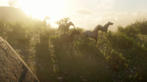 Red Dead Redemption II : Un aperçu de la vie sauvage en images 1538208008-3582-capture-d-ecran