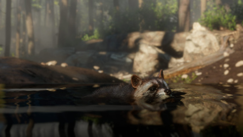 Red Dead Redemption II : Un aperçu de la vie sauvage en images 1538208009-25-capture-d-ecran