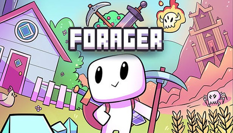 Forager sur Switch