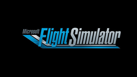 Microsoft Flight Simulator sur PC