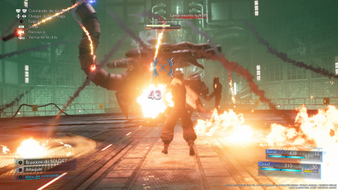 Scorpion gardien
