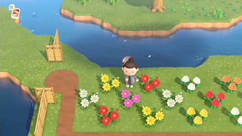 Animal Crossing New Horizons, les fleurs : variétés, prix, comment en prendre soin… tout ce qu'il faut savoir