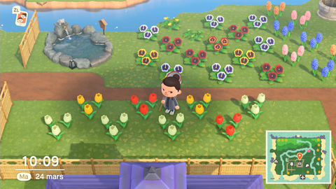 Animal Crossing New Horizons, les fleurs : variétés, prix, comment en prendre soin… tout ce qu'il faut savoir